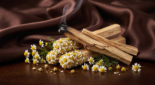 Palo Santo Dipped in Chamomile