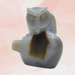 Discover serenity and wisdom with the Blue Lace Agate Owl Carving. Symbolizing protection and intuition, it's a captivating addition to your spiritual practice.