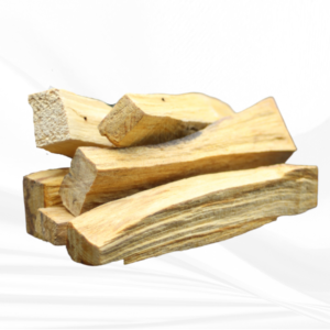 Explore the spiritual significance, aromatic allure, and therapeutic benefits of Palo Santo, a revered 'holy wood' from South America.
