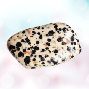 Dalmatian Jasper Tumbles, a unique gem with grounding, creative energy. Ideal for adornment, meditation, and fostering positivity."