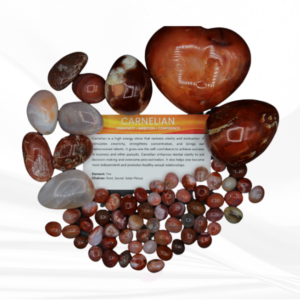 Carnelian tumbles are vibrant, grounding, and transformative crystals. It boosts vitality, balances emotions, and ignites creativity